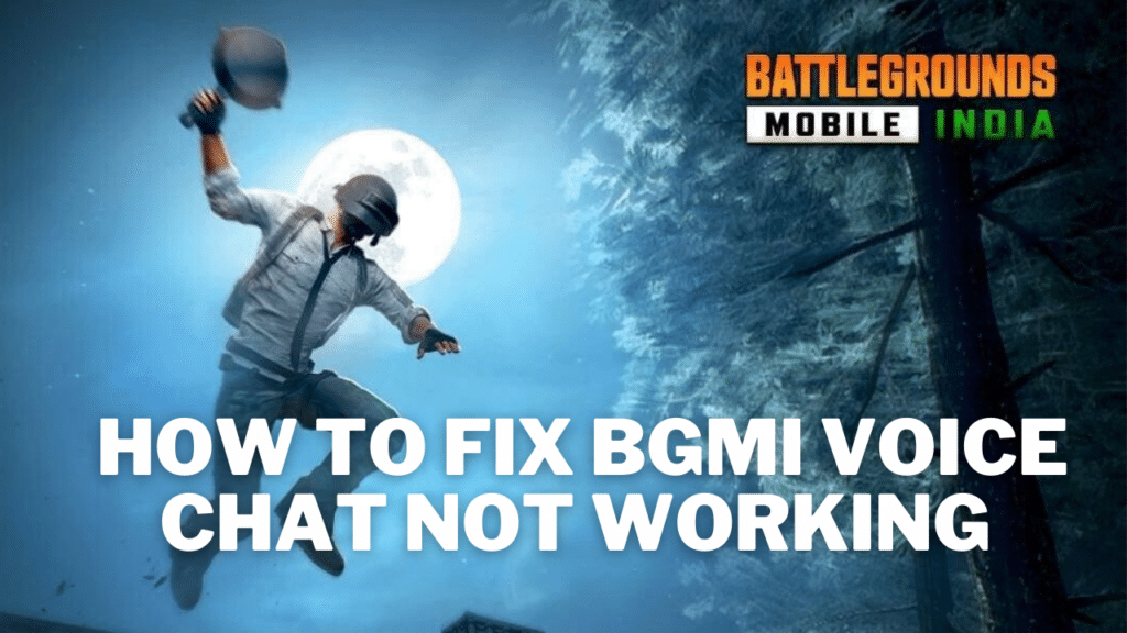 BGMI Voice Chat Not Working